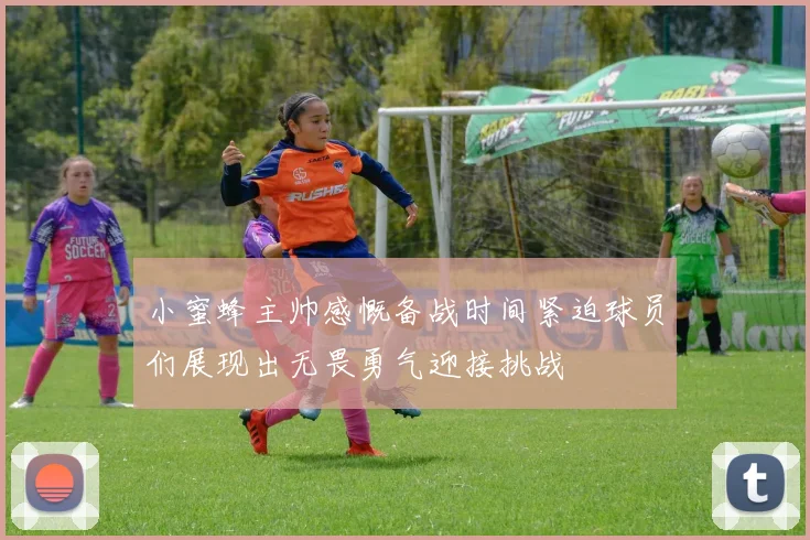 小蜜蜂主帅感慨备战时间紧迫球员们展现出无畏勇气迎接挑战