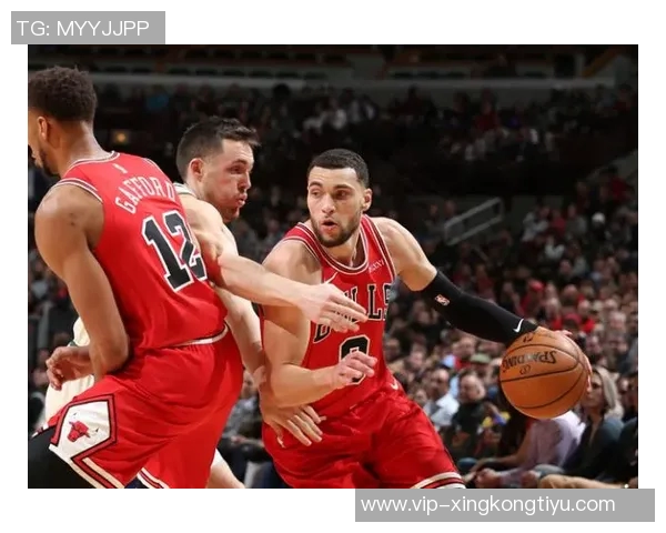 张佳玮深度解析雄鹿队的阵容构建与字母哥的支持体系